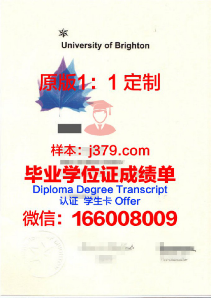 布莱顿大学毕业证