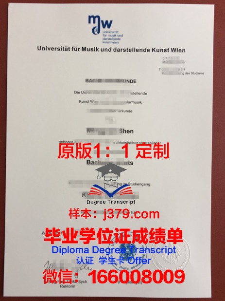 维也纳音乐与艺术市立大学毕业证模板(维也纳音乐学院毕业)