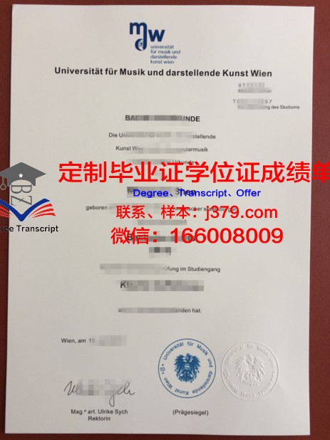 维也纳医科大学毕业证真伪(维也纳医科大学毕业证真伪怎么查)