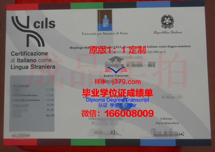 锡耶纳赫兹大学毕业证学位文凭学历Diploma