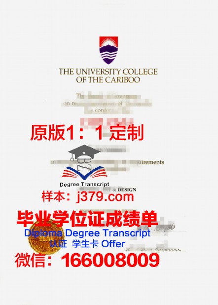 昂热大学硕士毕业证书样本