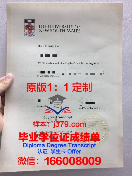 维泰博大学毕业证认证成绩单Diploma