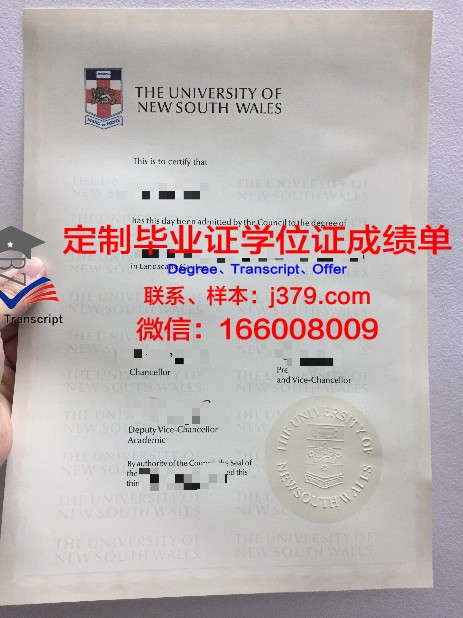 维罗纳大学博士毕业证：跨越国界的学术荣耀