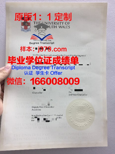 维斯瓦学院毕业证什么样子(维斯瓦大学)