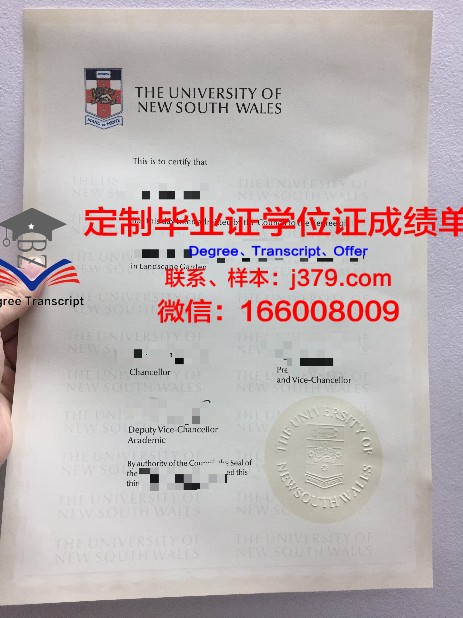 锡根大学硕士毕业证：一份通往未来的护照