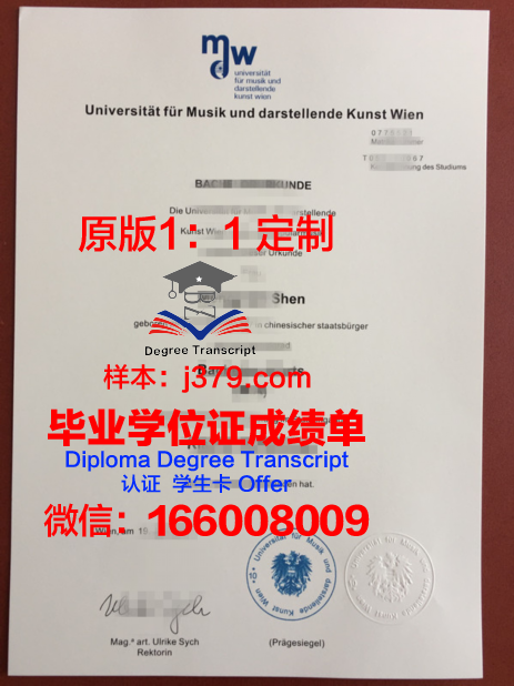 维也纳模都尔大学文凭(维也纳大学留学条件)