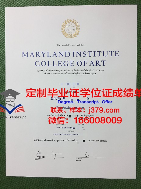 安纳西高等艺术学院diploma证书(安纳西法式音乐餐厅)