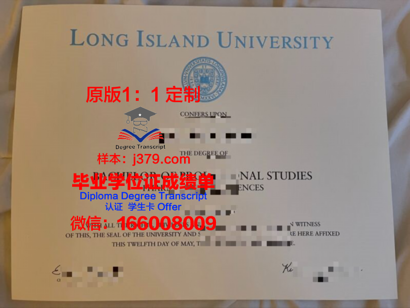 长岛大学diploma证书(长岛大学国内认可吗)