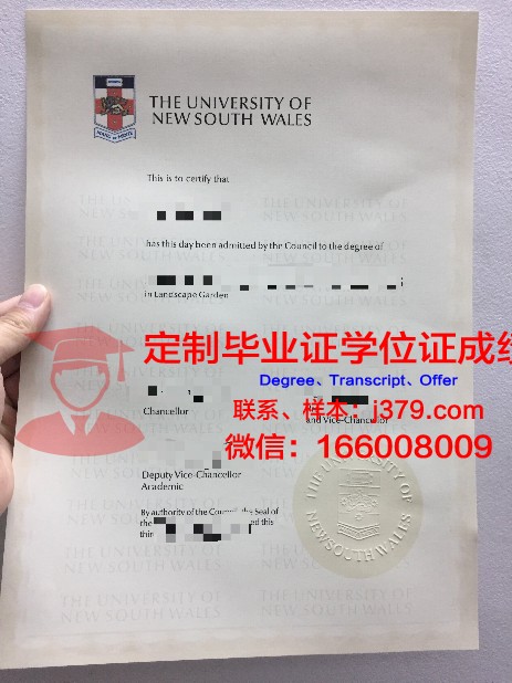 得恩普萨大学硕士毕业证