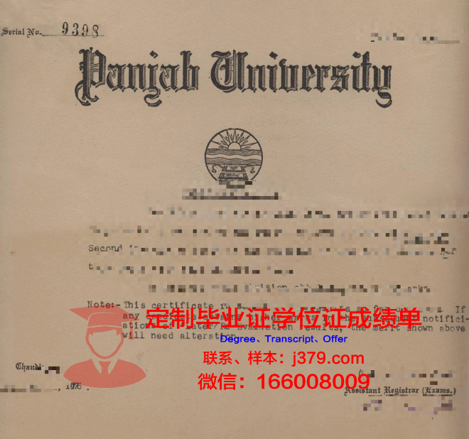 旁遮普大学（巴基斯坦）毕业证书图片模板(巴基斯坦旁遮普人)