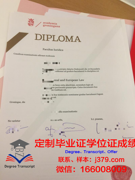 格罗宁根大学证书成绩单(格罗宁根大学本科专业)