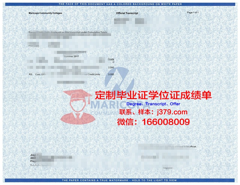 密什科尔茨大学学位成绩单定制：探索学术诚信与市场需求之间的平衡