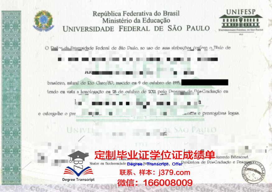 弗鲁米嫩塞联邦大学研究生毕业证书