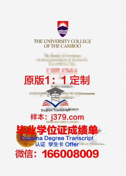 弗鲁米嫩塞联邦大学硕士毕业证书样本