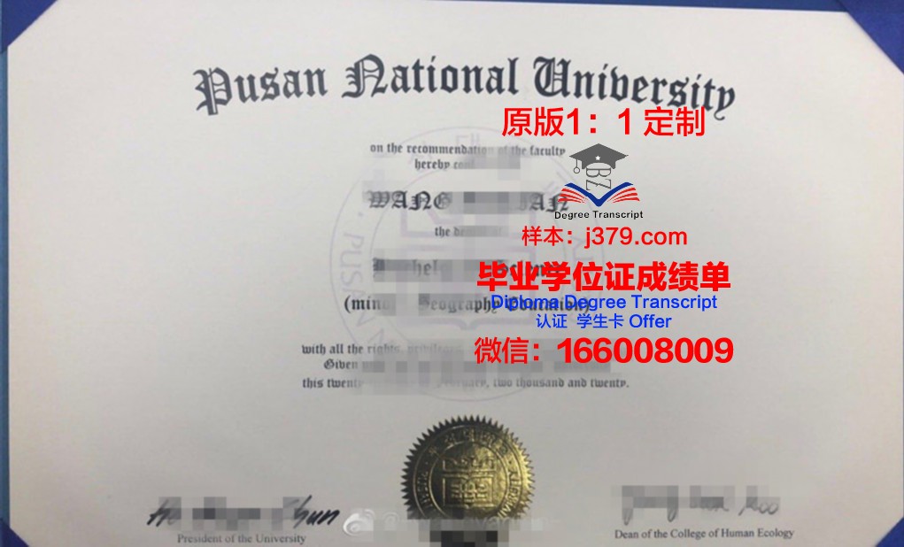 釜山国立大学diploma证书(釜山国立大学语学院官网)