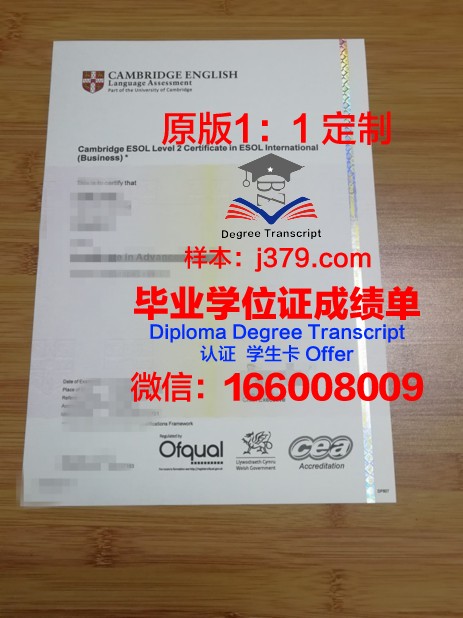 弗罗茨瓦夫经济大学毕业证书什么颜色(弗罗茨瓦夫艺术与设计学院)