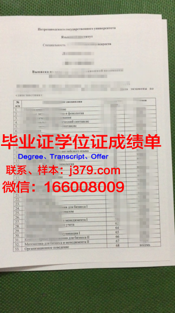 彼得罗扎沃茨克国立大学学位成绩单定制：探索学术诚信的边界