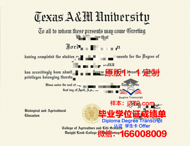 德克萨斯农工国际大学毕业证：开启全球职业之路的钥匙