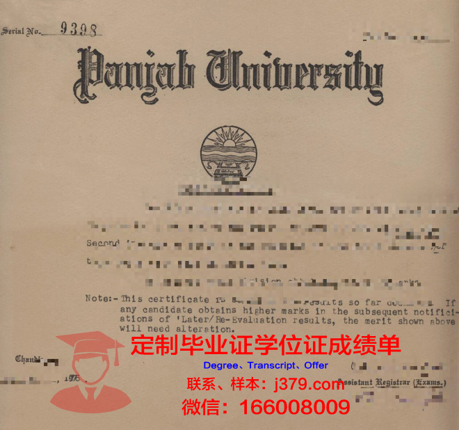 旁遮普大学（巴基斯坦）毕业证长什么样(巴基斯坦旁遮普人)