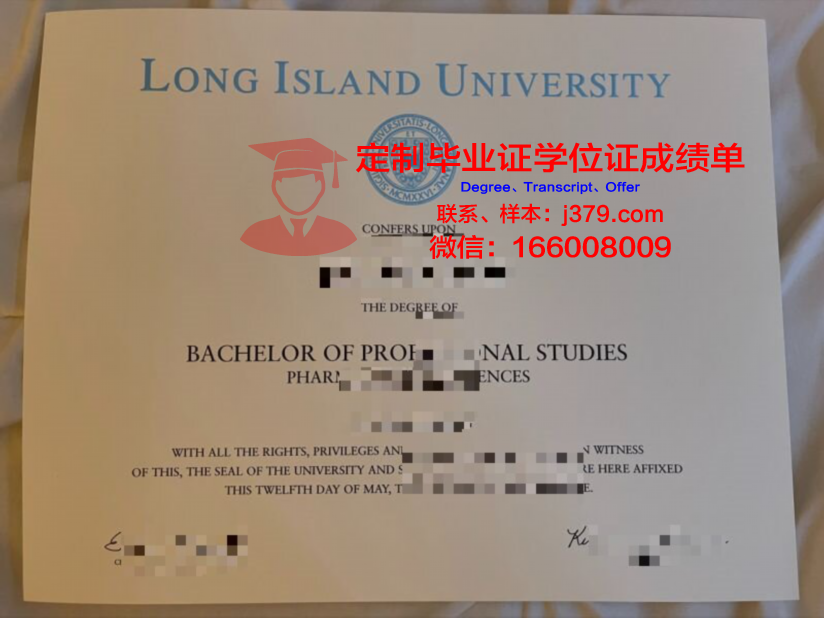 长岛大学毕业证案例(长岛大学的设计专业)