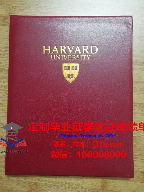 弗赖贝格工业大学毕业证壳子