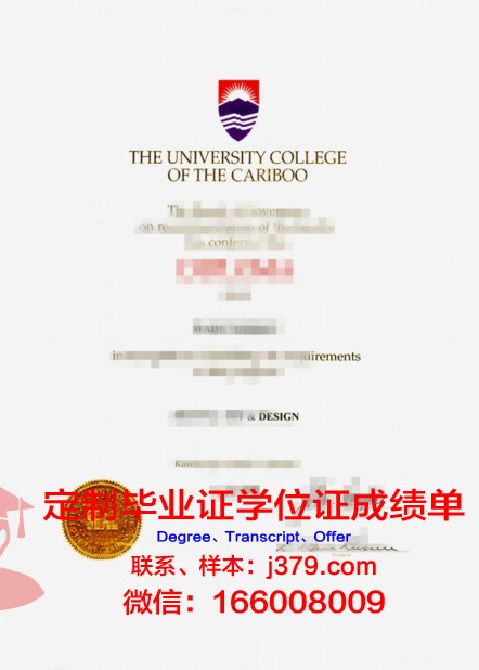 金日成综合大学硕士毕业证书样本(金日成大学全球排名)