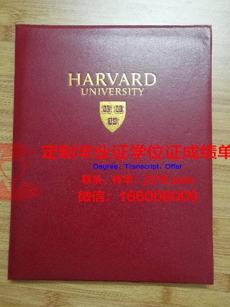 弗罗茨瓦夫经济大学毕业证壳子(弗罗茨瓦夫大学怎么样)