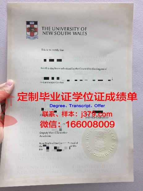 铁道大学毕业证：青春的见证与未来的启航