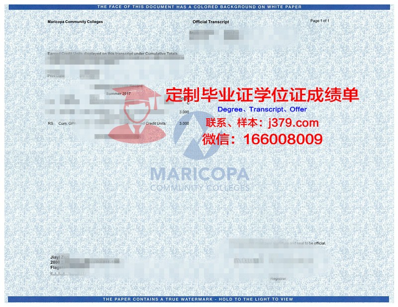 维罗大成绩单：一部揭示成长与奋斗的励志故事