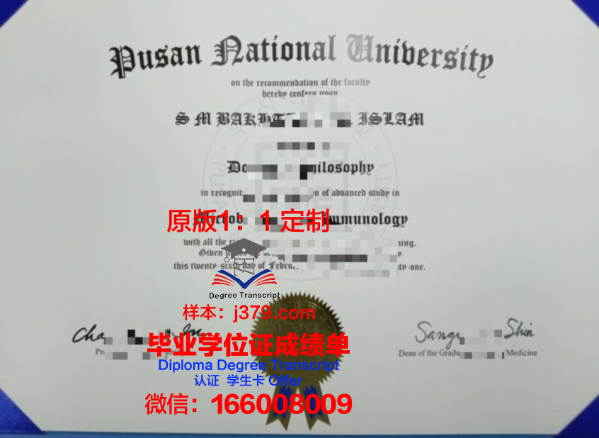 釜山外国语大学diploma证书(釜山外国语大学英文名字)