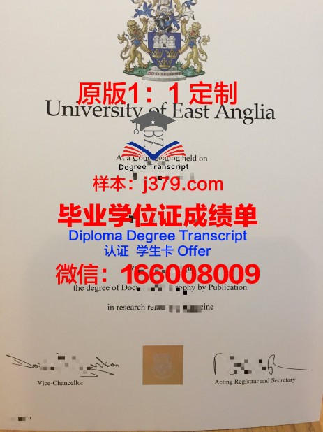 安格利亚罗斯金大学成绩单(英国安格利亚罗斯金大学)