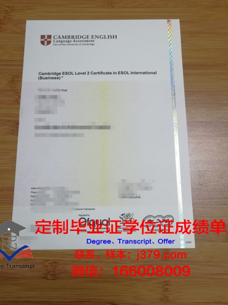 金城大学毕业证书：承载荣誉与梦想的纸笔传奇