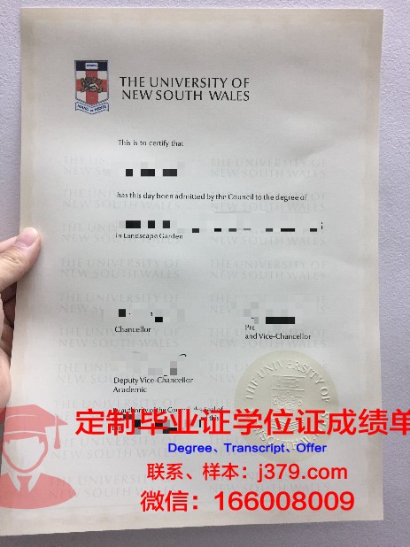 锡比乌大学毕业证高清图(从锡比乌)