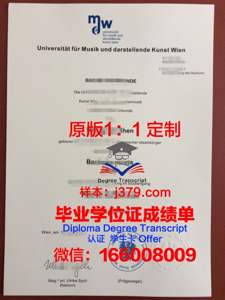 维也纳音乐与艺术市立大学diploma证书(维也纳国立音乐与表演艺术大学怎么样)