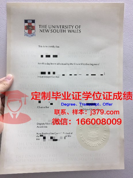 越南岘港大学附属经济大学diploma证书(越南岘港大学排名)