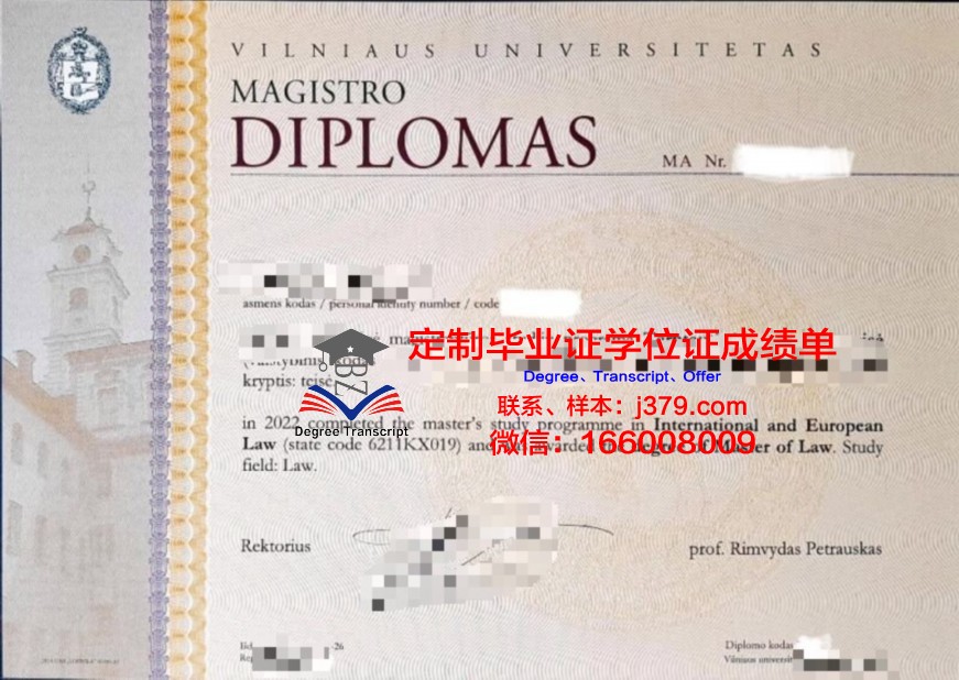 维尔纽斯艺术学院diploma证书(维尔纽斯大学官网)