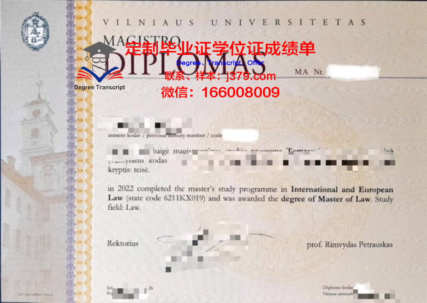 维尔纽斯艺术学院diploma证书(维尔纽斯大学官网)