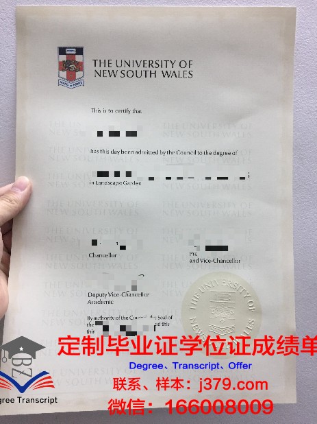 锡比乌大学博士毕业证(锡比乌大学博士毕业证图片)