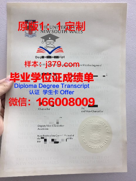 弗罗茨瓦夫大学毕业证长什么样(弗罗茨瓦夫工业大学)