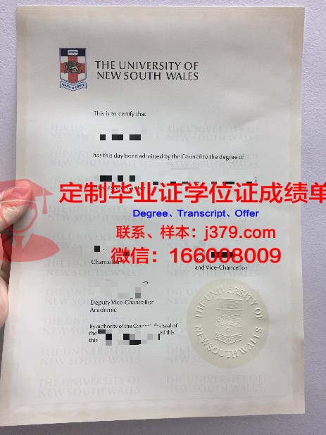 维罗纳大学成绩单(维罗纳大学排名)