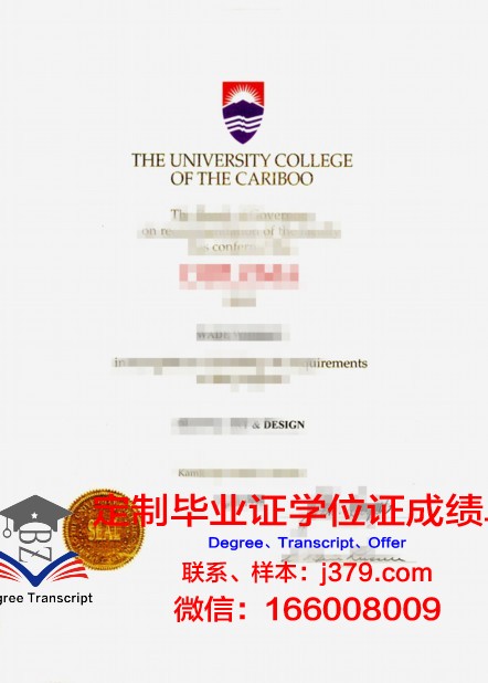 弗罗茨瓦夫理工大学硕士毕业证书样本(弗罗茨瓦夫技术大学)