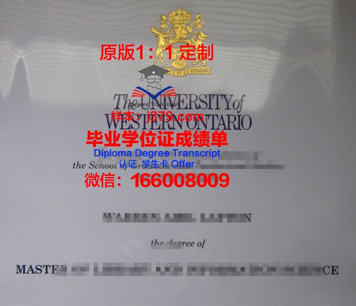 林奈大学毕业文凭