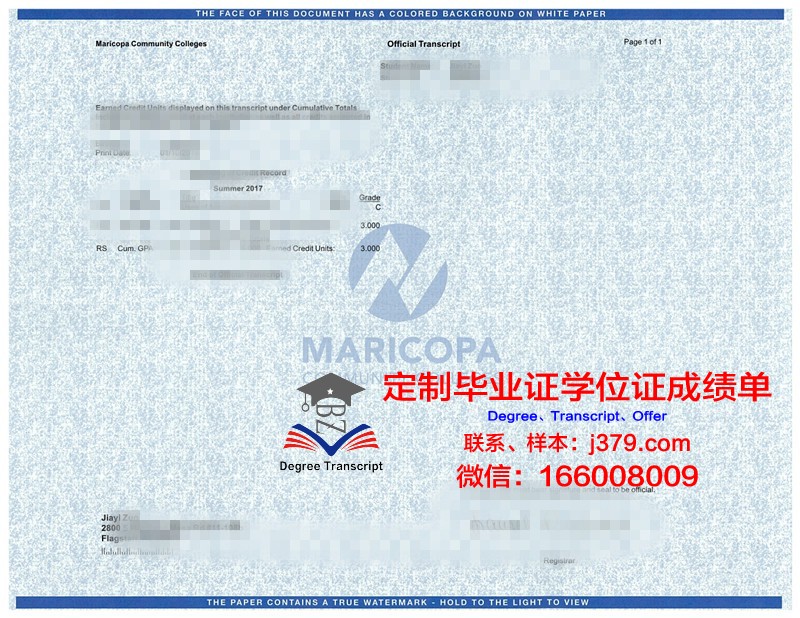 柏工大成绩单:教育质量的新标杆