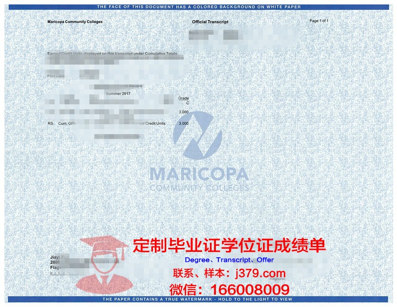 林赛威尔逊学院成绩单:一份展现教育品质的“报告”