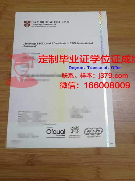 图尔-昂热-勒芒艺术与设计高等学院博士毕业证书