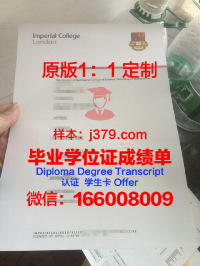 以色列理工学院diploma证书(以色列理工官网)