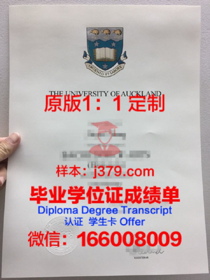 新西兰商业与技术学院拿不了毕业证(新西兰职业技术学校留学)